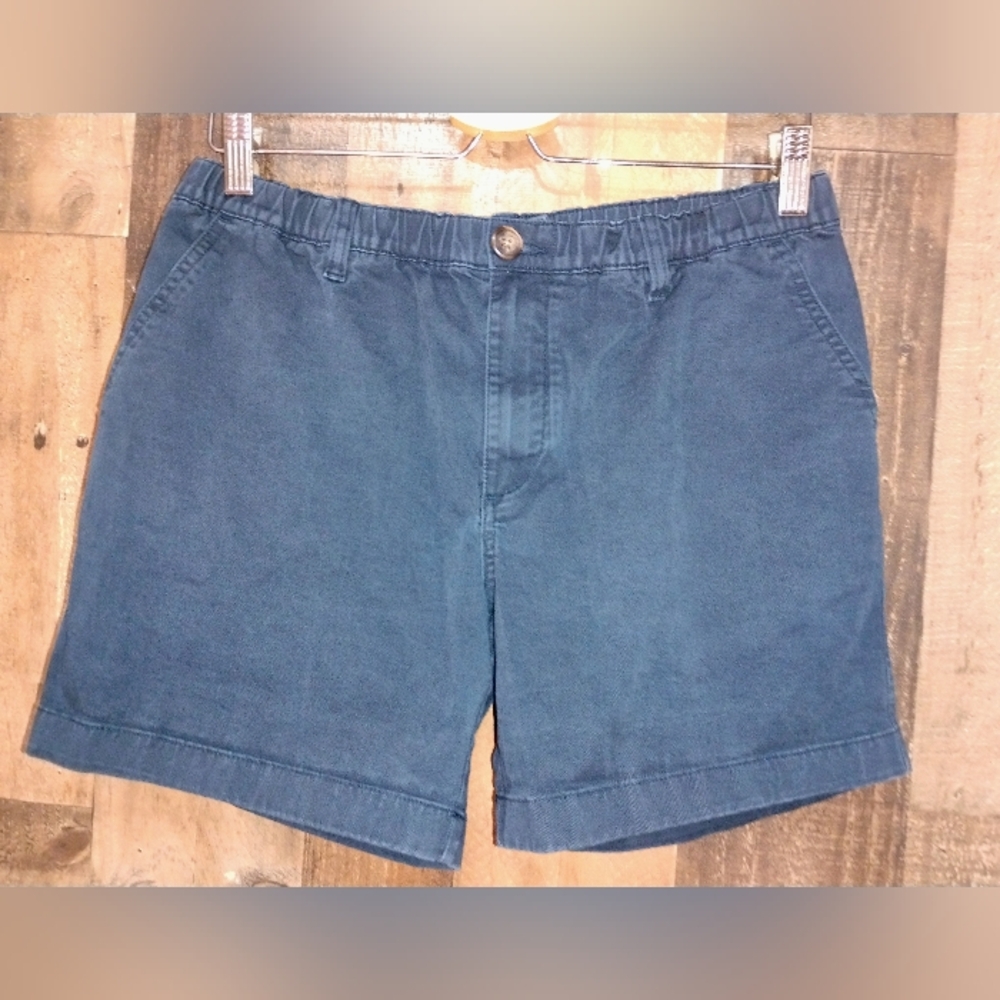 Chubbies Men's Blue Casual 5.5" Inseam Shorts Size Medium
